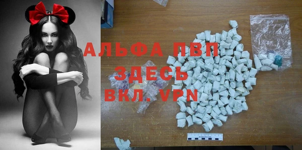 дживик Володарск
