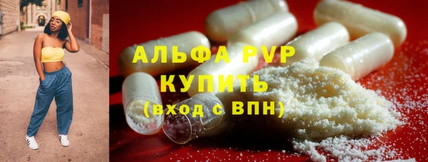 дживик Володарск